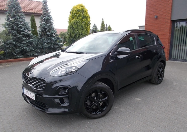 Kia Sportage cena 89000 przebieg: 38000, rok produkcji 2021 z Leszno małe 742